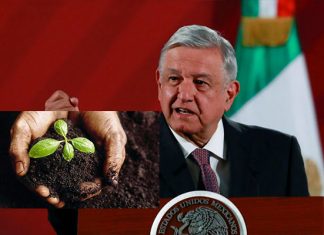 AMLO pedirá a Biden que dé visas a centroamericanos que planten árboles