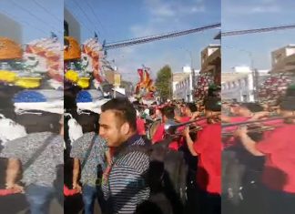 Hubo Hasta Dos «Toritos» En Un Mismo Lugar