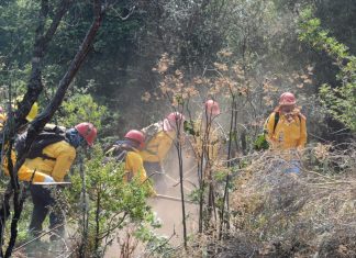 Michoacán se coloca en décimo lugar nacional en superficie afectada por incendios