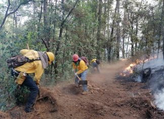 Controlados, los incendios en Áporo-Senguio y Los Reyes-Tangancícuaro