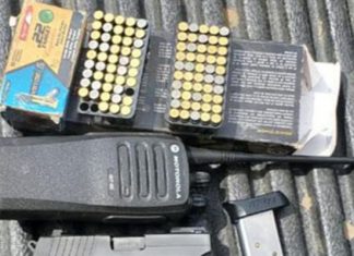 Capturan a supuestos “halcones” del Cártel de El Camaleón en Salvador Escalante