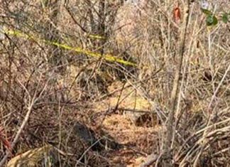 Encuentran partes de un esqueleto humano en San José Coapa, en Morelia..