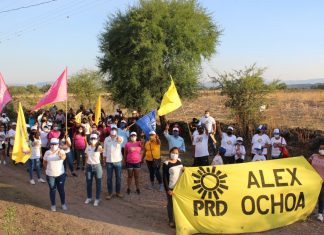 Alex Ochoa Figueroa busca un pleno desarrollo para Chupícuaro
