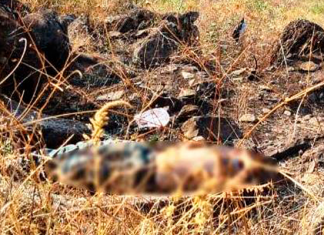 Encuentran el cuerpo sin vida de un hombre con huellas de violencia en lo alto de un cerro, en Jacona…