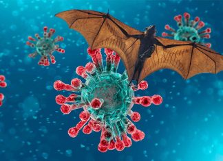 China pide a la OMS manejar investigación de origen covid-19 con fines científicos y no políticos