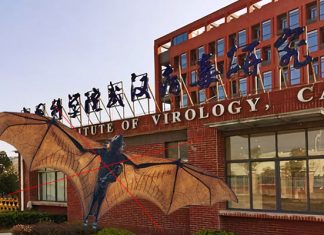 Covid-19 pudo salir del Instituto de Virología de Wuhan, en China