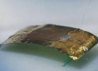 Crean robot inspirado en cucaracha, es muy difícil aplastarlo