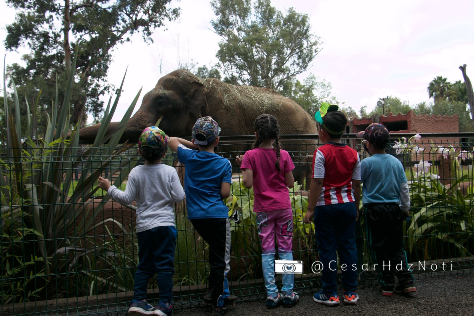 WhatsApp Image 2021-07-01 at 14.38.54