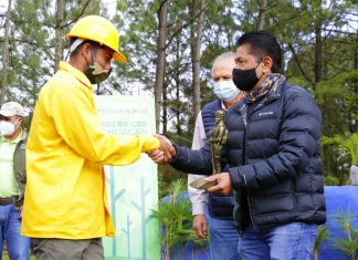 Inicia en San Jerónimo Purenchécuaro reforestación comunitaria.