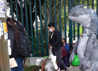 Dinosaurio acude a recibir su vacuna anti Covid-19 en Morelia
