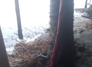 #Michoacán Enramadas De Lázaro Cárdenas sufren afectaciones por Nora, necesario apoyo de gobierno: Pánfila Beltrán