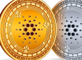 Aquí te presentamos la criptomoneda con mayor valor al momento