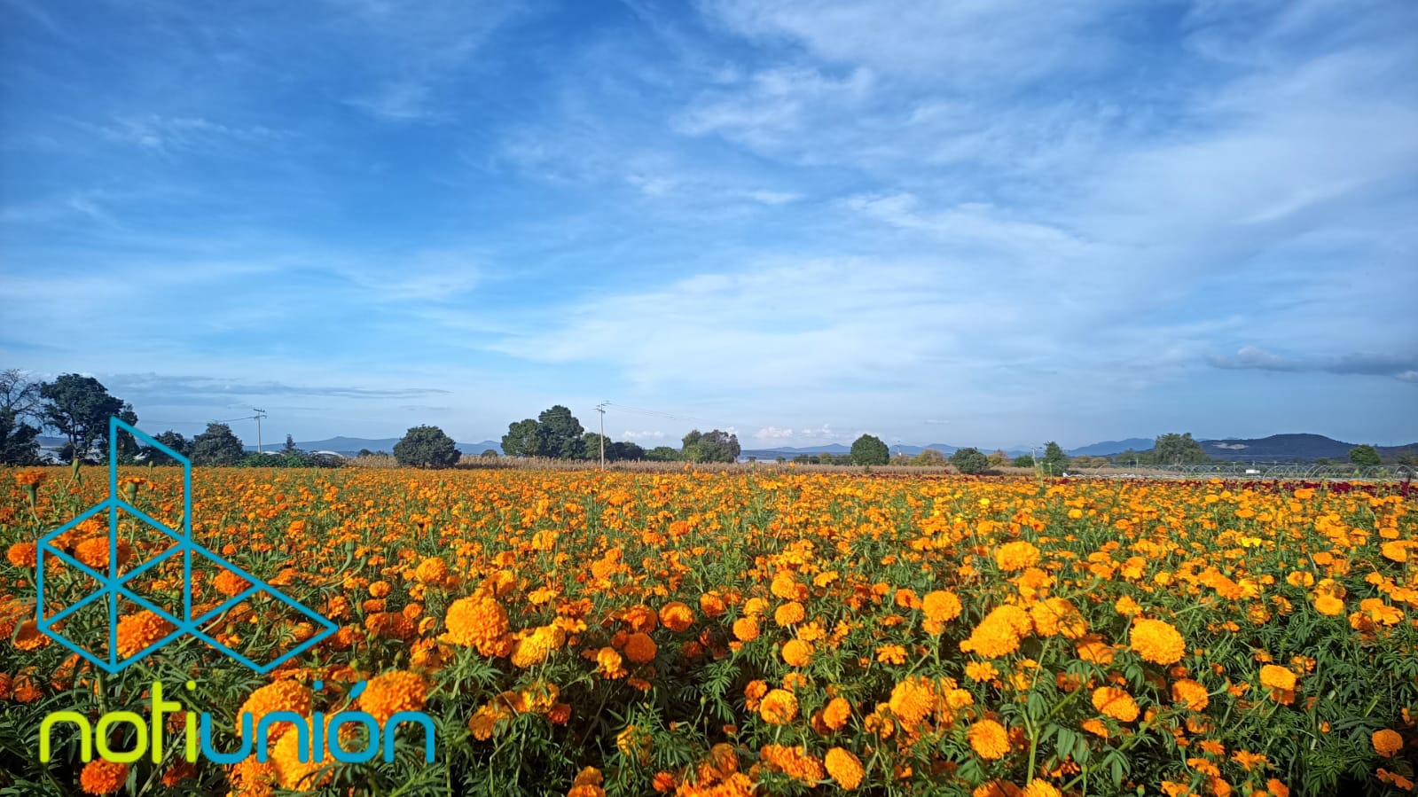 WhatsApp Image 2021-10-24 at 13.41.01