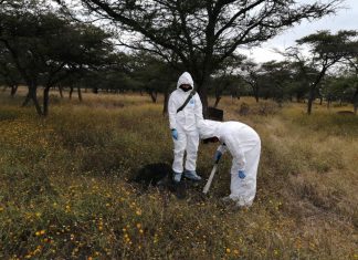 Inicia #FGE acciones de acompañamiento para identificación forense, en Yurécuaro