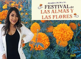 En #Copándaro se llevará a cabo el primer Festival de las Almas y las Flores para atraer el turismo: Edith González