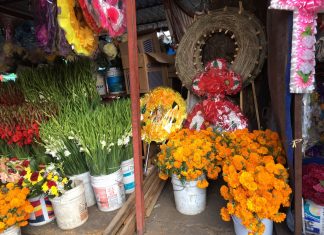 En #Morelia se vende la flor de #cempasúchil hasta en $100 pesos, hay opciones de comprar solo pétalos más económicos