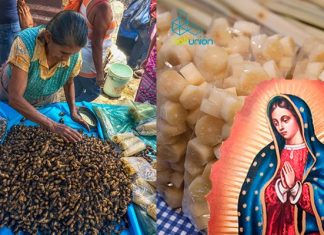 Se adelanta el «Cañafest» en #Morelia y todos los comerciantes deberán contar con su esquema de vacunación anticovid-19 completa