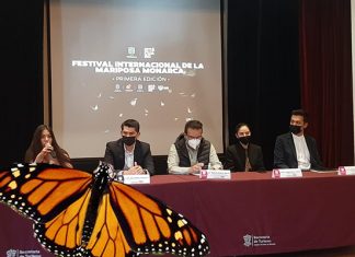 Vive el primer Festival Internacional de la Mariposa Monarca del 12 al 14 de noviembre
