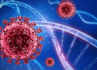 Variante ómicron llega a Estados Unidos