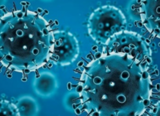 Detecta México la primera muestra positiva a la variante ómicron