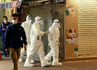 Hámsters con brote de Covid-19 en Hong Kong se sacrificarán.