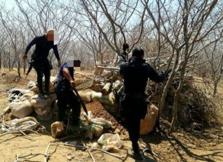 SSP, Sedena y GN aseguran campamento utilizado por una célula delictiva, en #Tepalcatepec