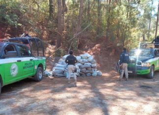 División Ambiental de la SSP asegura 85 costales con tierra sustraída ilegalmente