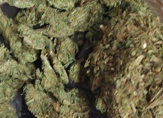 SSP detiene en las últimas horas a 6 personas en posesión de drogas