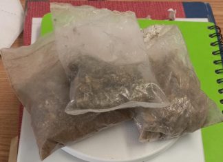 En diversas labores operativas, SSP asegura 6 personas en posesión de drogas