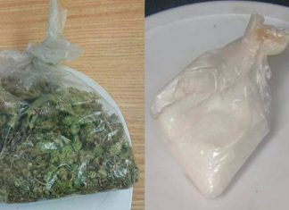 SSP asegura a 6 en posesión de drogas, en distintas movilizaciones