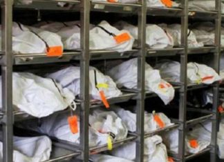 Se va crear el Centro Nacional de Identificación Humana ante la presencia de más de 52 mil cuerpos sin identificar en México