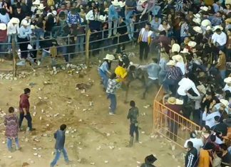 #Video Pelea en el #Jaripeo Universitario en la Monumental de Morelia 2022