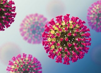 Detectan 700 casos de Ómicron XE en Reino Unido