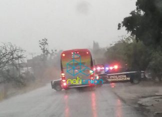Tiran tres cadáveres maniatados y baleados fueron abandonados en la Tenencia de Emiliano Zapata, en Villamar