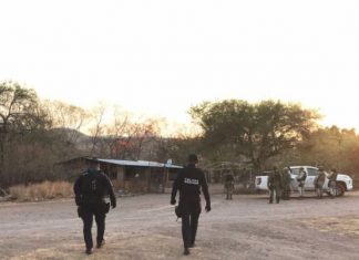SSP desmantela cuatro laboratorios de droga, en Tumbiscatío