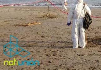 Localizan el cuerpo de una mujer muerta en la orilla del lago de Cuitzeo