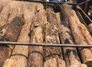 SSP asegura camión con madera ilegal, en Zitácuaro