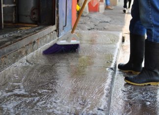 Fumigará Gobierno de Tarímbaro de manera masiva para evitar dengue