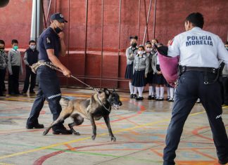 Unidad Canina de Policía Morelia visita escuelas