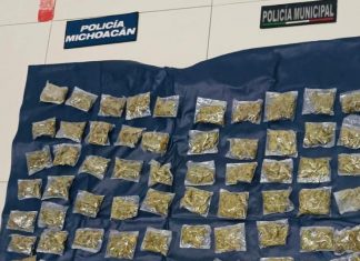 En Blindaje Zamora, SSP y Policía Municipal aseguran 78 envoltorios de marihuana