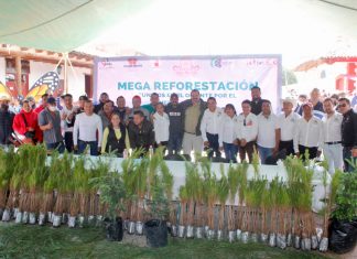 Arranca megareforestación en el Oriente de Michoacán