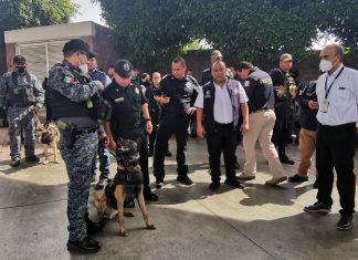 Operativo sorpresa de revisión llega a los servicios de paqueteria en la TAM
