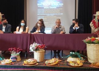 El Municipio de Alvaro Obregón invita a su «Feria de la Rana»