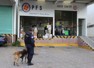 SSP y FGE mantienen operativo de inspección en la TAM, para inhibir tráfico de armas y drogas