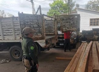 SSP asegura camión cargado con madera ilegal, en Morelia