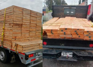 SSP asegura dos vehículos con producto forestal, presuntamente ilícito