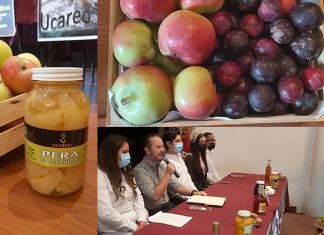 Del 31 de julio al 7 de agosto se llevará a cabo la Feria de la Pera de Ucareo