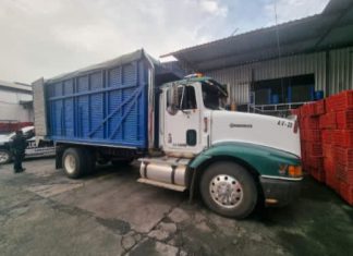 En Uruapan, Guardia Civil y Sedena aseguran 1 tonelada de aguacate presuntamente robado y a 4 presuntos implicados
