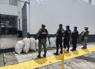 Guardia Civil y Sedena aseguran 120 kilos de marihuana en Queréndaro