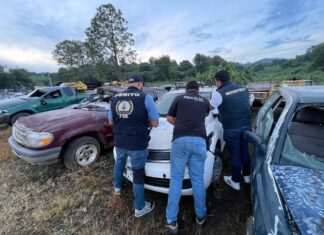 Asegura en cateo la FGE 25 vehículos con reporte de robo